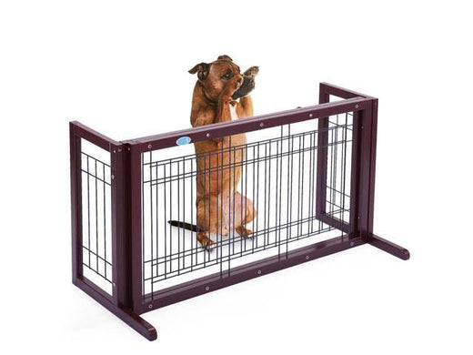 Pet